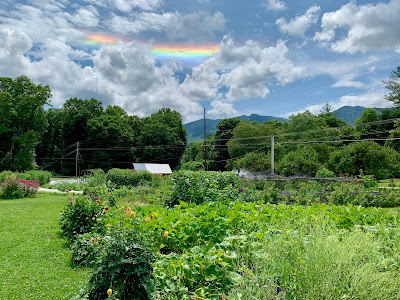 circumzenithal arc over Camp Celo