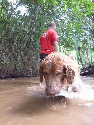 Pets adventure 16 (114)