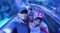 SEA-WORLD-ANCOL