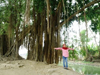 Keraton Kaibon Banten