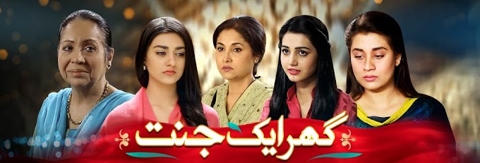 Watch Ghar Ek Jannat Episode 2- 4 February 2014 On Geo Kahani 