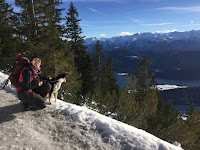 Winterwanderung mit Hund auf den Herzogstand bei Walchensee Kochel in den bayerischen Voralpen