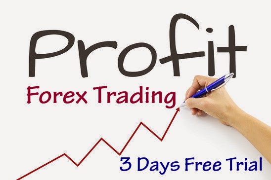 Daily Forex Signals