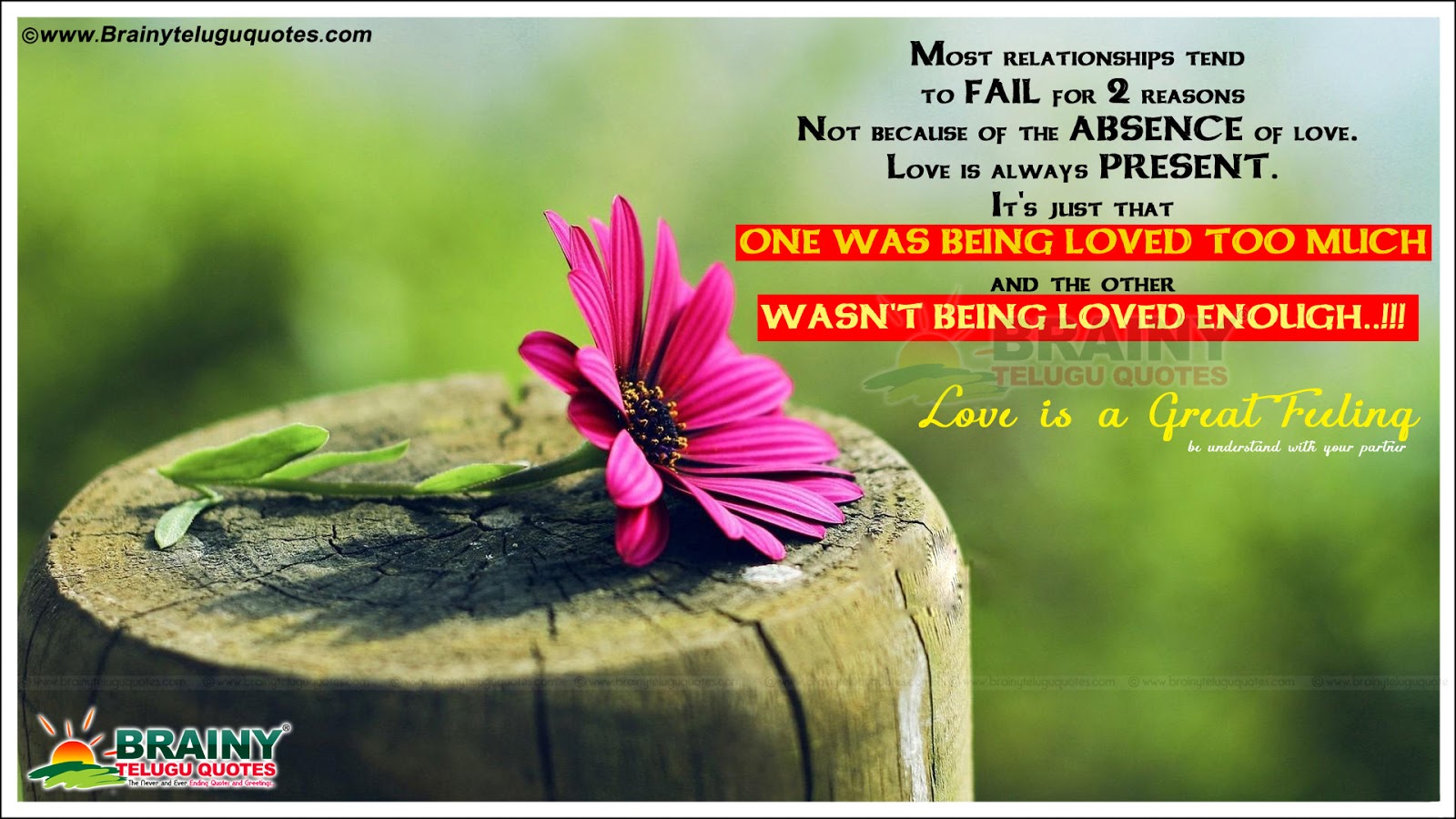 Romantic Love shayari Messages and Quotes Pictures with ...