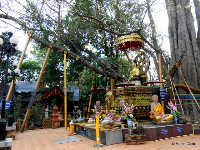 TEMPLOS DE CHIANG MAI, TAILANDIA. (1) WAT CHED YOD