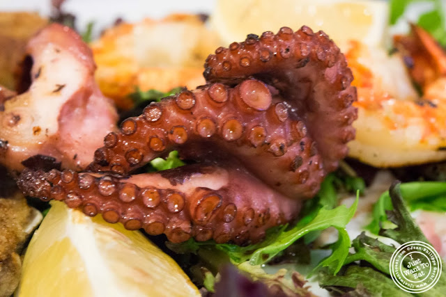 image of misto mare octopus, shrimp and baked clams at Il Colosseo in Bensonhurst, Brooklyn, New York