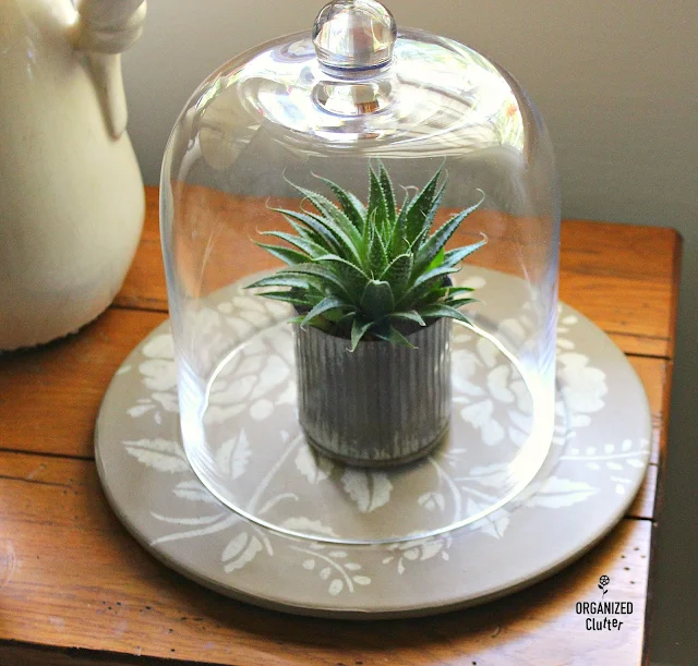 Primitive Country Garage Sale Platter Repurpose #cloche #zebrasucculent #succulent #upcycle #garagesalefind #stencil #fusionmineralpaint #floralstencil