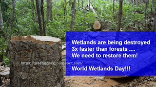 >HAPPY WORLD WETLANDS DAY QUOTES, MESSAGES, WISHES & GREETINGS