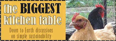 The Biggest Kitchen Table - keeping chickens