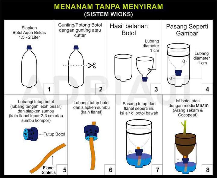 Memanfaatkan botol bekas untuk tanam sayuran Hidroponik 