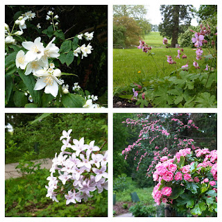 Compton+Verney+Flowers