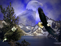 3d Eagle Screensavers1