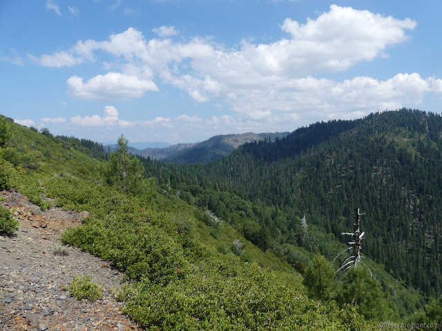 trail in more little manzanita