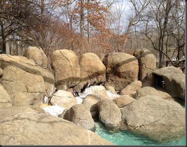 2013-02-CpherZoo02