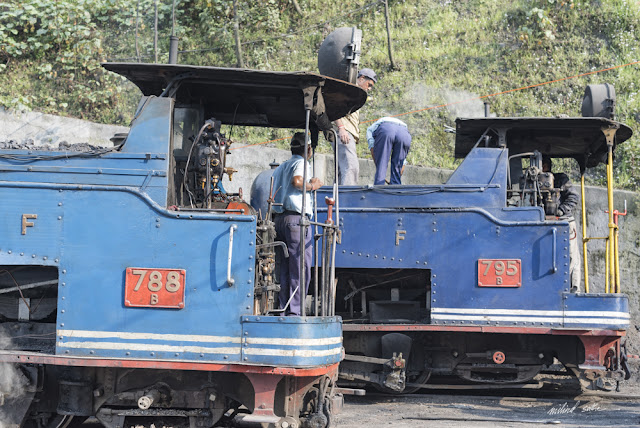 Getting ready the steam locomotives of Darjeeling Himalayan Railway (www.milind-sathe.com)