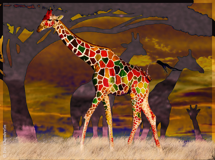 Peindre la girafe