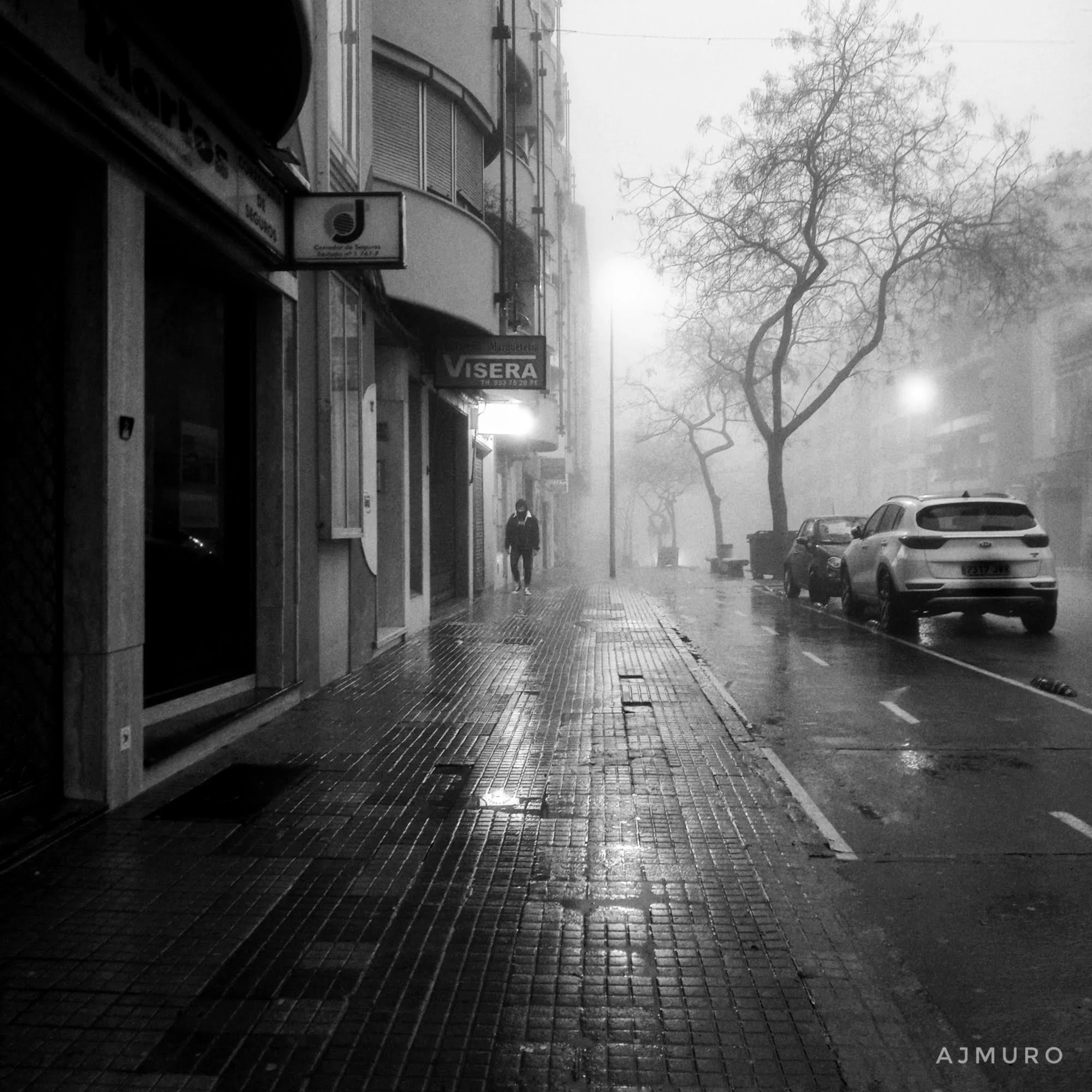 Antonio José Muro | 014/365 | Paso de lluvia