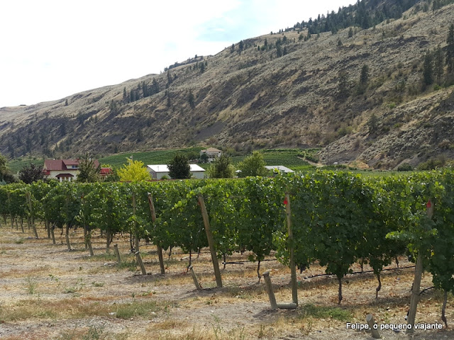 okanagan