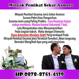 Pelet Sesama Jenis Sekar Asmoro