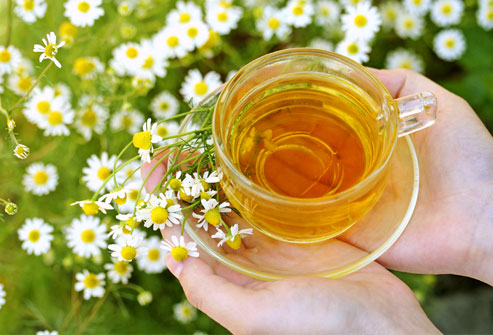 Minum Teh herbal Bisa Kurangi Sakit Gigi