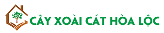 Cây Xoài Cát Hòa Lộc