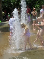 IMG_5906