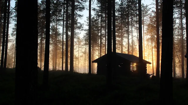 Wallpaper Forest, Sunlight, Hut, House, Trees