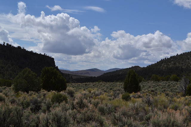 southerly to the hills again