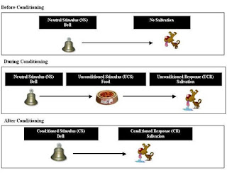 Perbedaan antara Classical dan Operant Conditioning