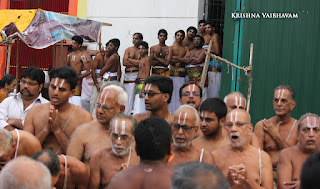 Aani,Thiru Ther,Purappadu , Vahanam,Sri Theliya Singar, Yoga Narasimhar,Brahmotsavam ,Purappadu,Video, Divya Prabhandam,Sri Parthasarathy Perumal, Triplicane,Thiruvallikeni,Utsavam,