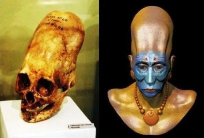 3,000-year-old Elongated Paracas Skulls Belong To An Unknown Human Race