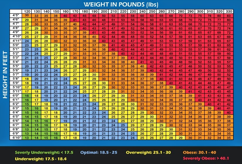 STRENGTH FIGHTER™: BODYBUILDING CHARTS