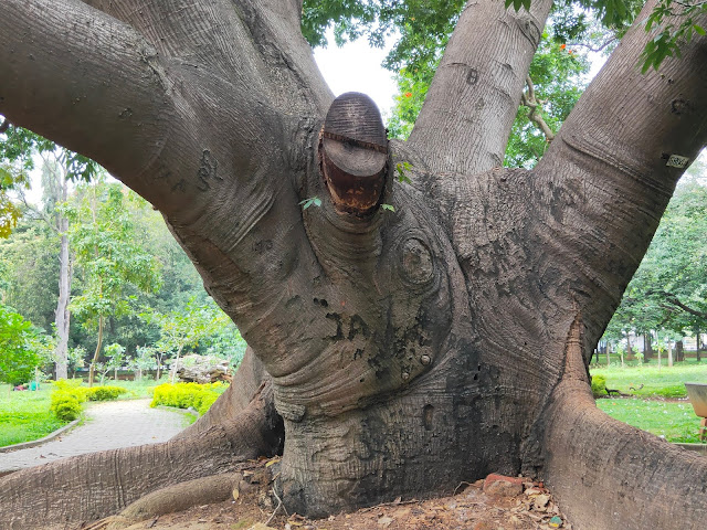 cubbon park bangalore