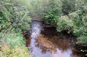 Sanborn Creek