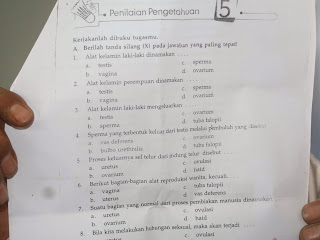 LKS Penjaskes dan Olah Raga kelas 5 SD Vulgar