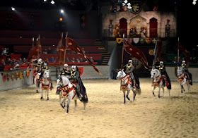 Atlanta Animal Lovers Tour, Medieval Times Dinner & Tournament