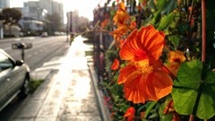 IMG_20141018_171956822