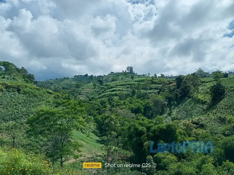 Hasil Foto Kamera Realme C25