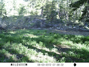 More of Barry's photos from the Desolation Wilderness, south of Lake Tahoe, .