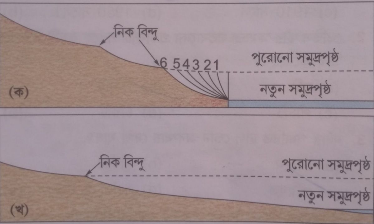 নিক বিন্দু