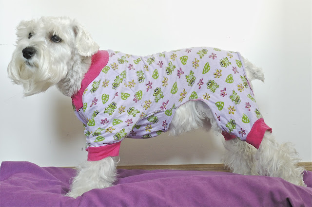 look pijama schnauzer