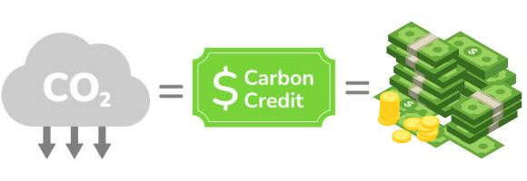 credito de carbono e banco imobiliário