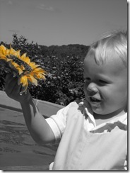 28mo 088 - Copy