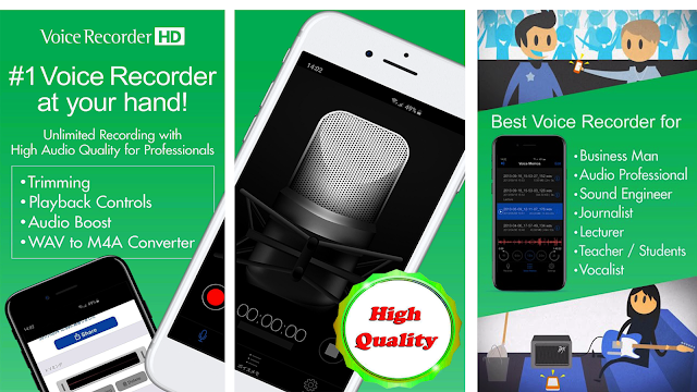 voice recorder pro