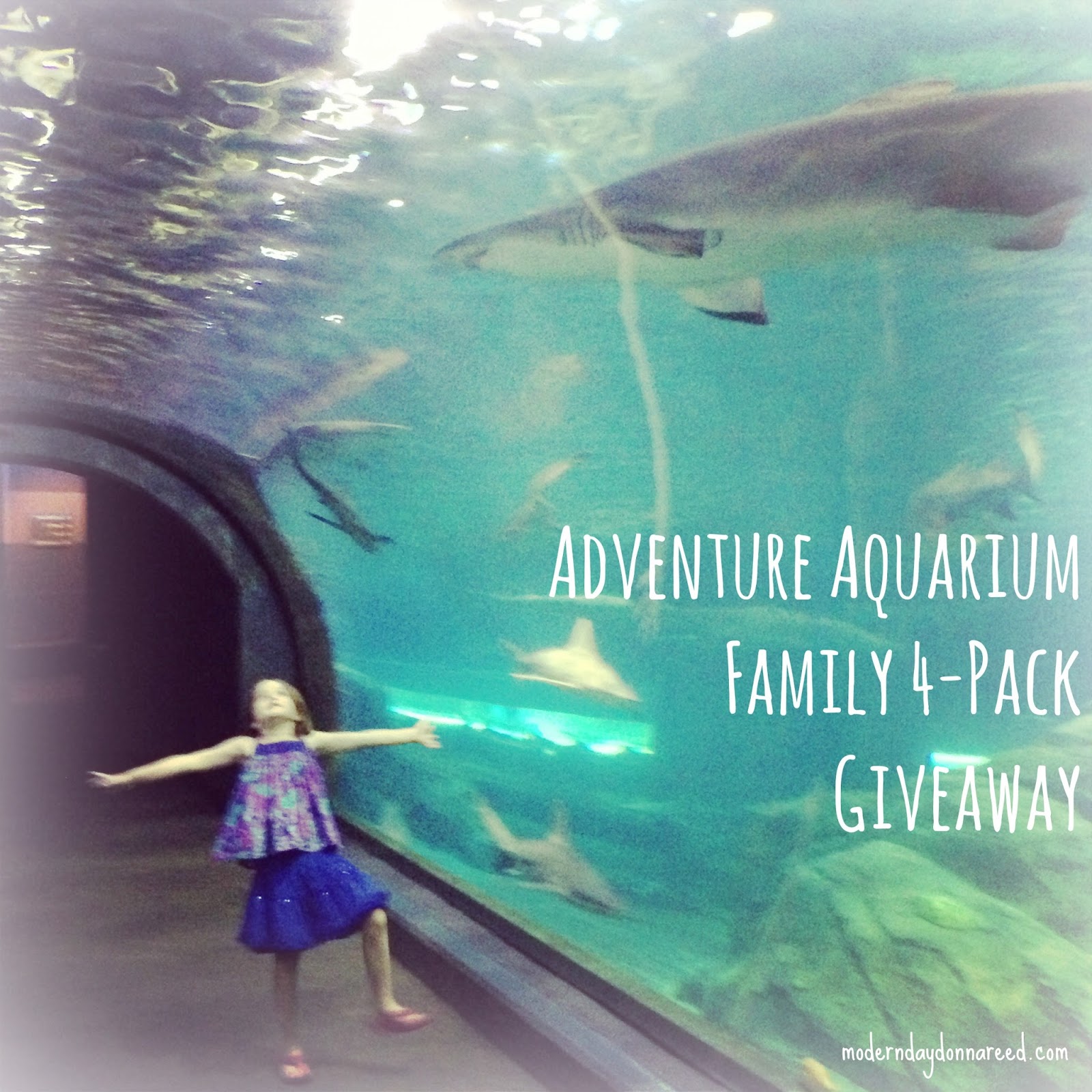 Adventure Aquarium Giveaway: Family 4-Pack of Tickets - ADventure Aquarium