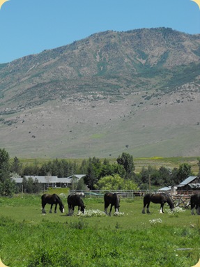 Huntsville & Eden, UT 106
