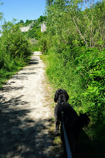 Trail next to the bluffs in Bluffers Park