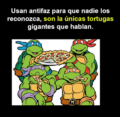 La lógica de las caricaturas las tortugas ninja