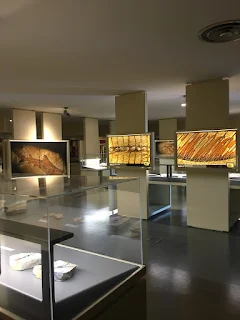 Museo dei Fossili di Bolca