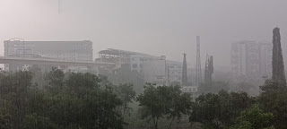 या जिल्ह्यात येणार पाऊस  | Nagpur, Chandrapur, Gondia, Bhandara, Gadchiroli
